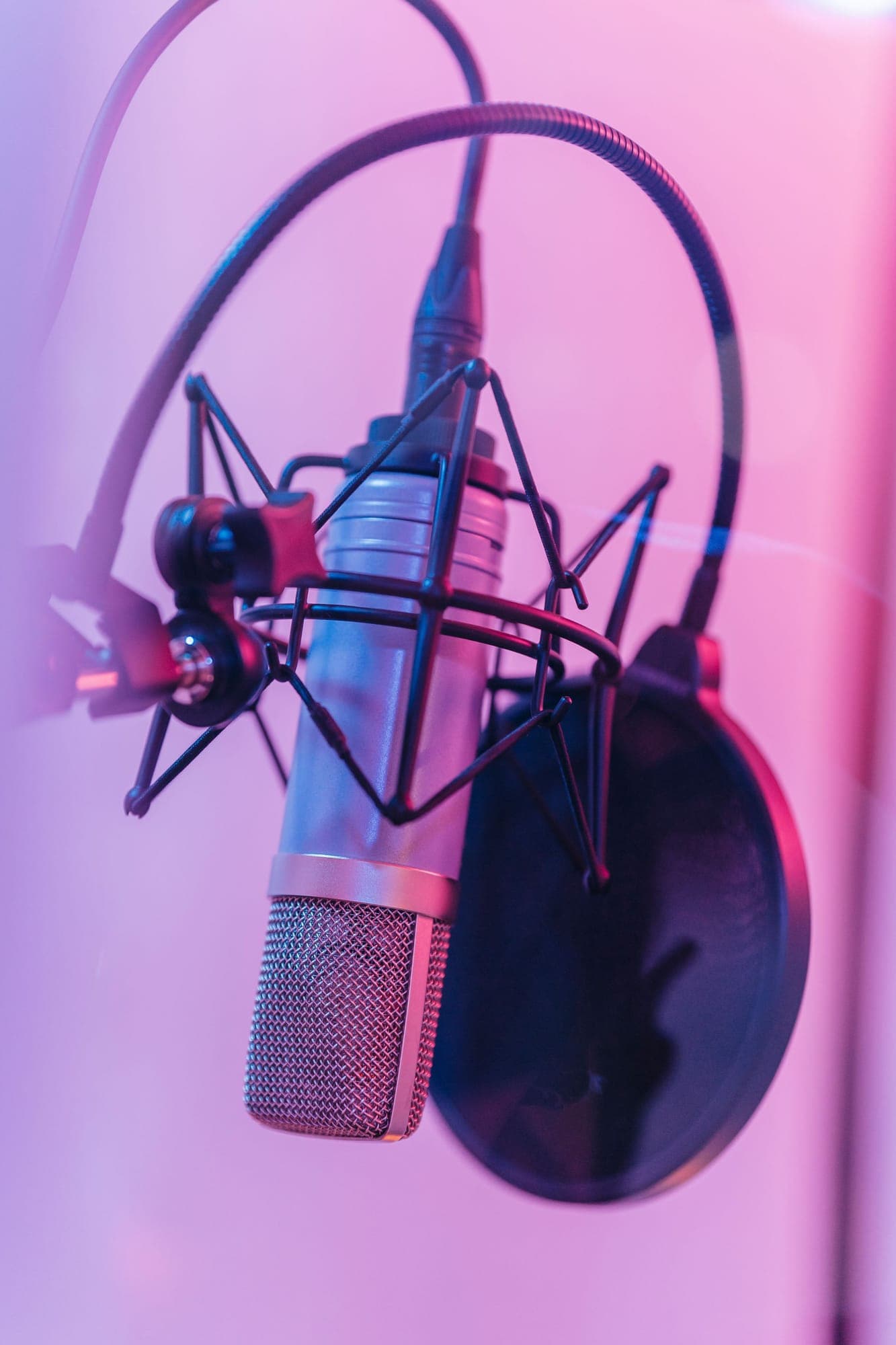 A studio condenser microphone with a pop filter in pink light